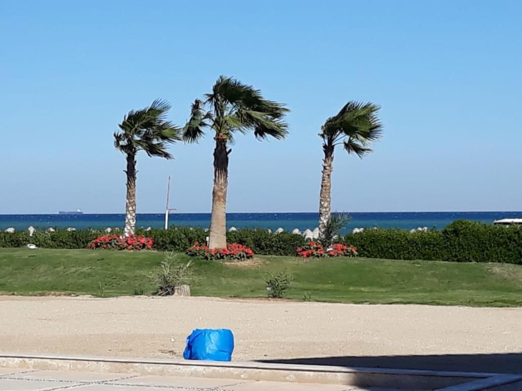 Seaview Chalets In Porto South Beach - Families Only Айн-Сохна Экстерьер фото